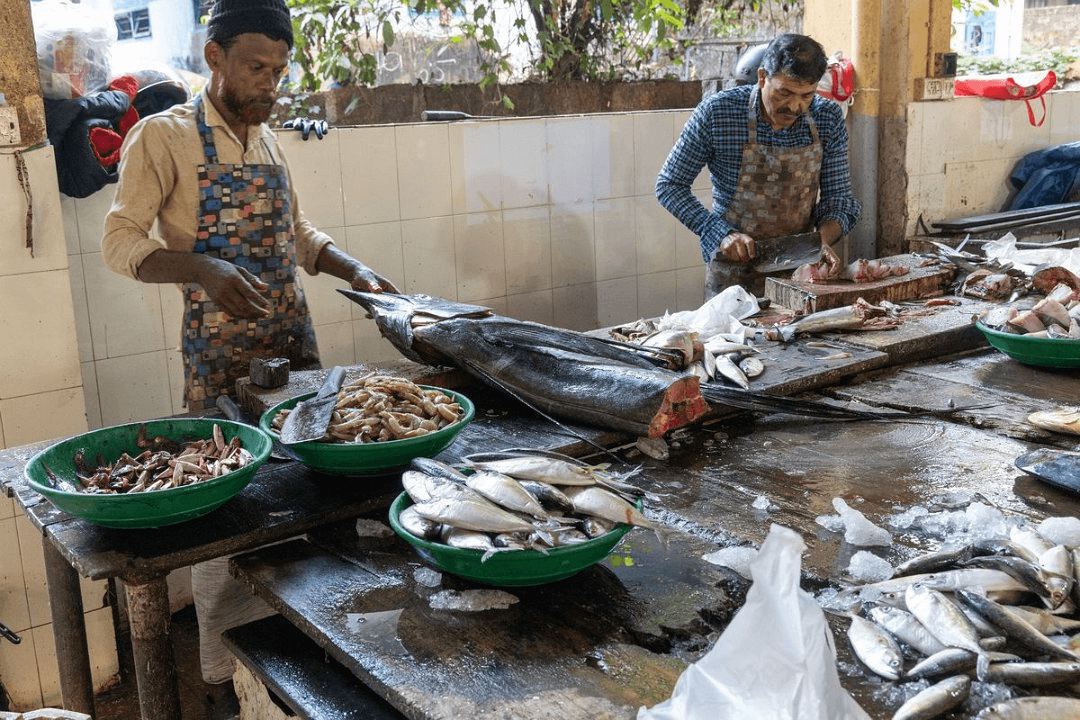 inz _ jan kortenhorst _ thalassery vismarkt.png